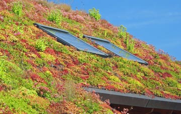 Toome living roof systems